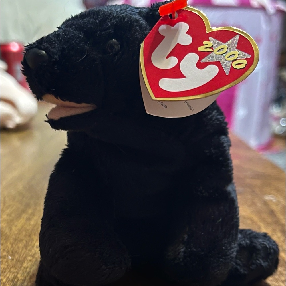 2000 Cinders Beanie Baby